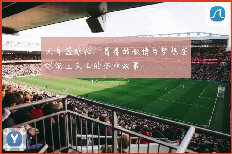 大年篮球社：青春的激情与梦想在球场上交汇的热血故事