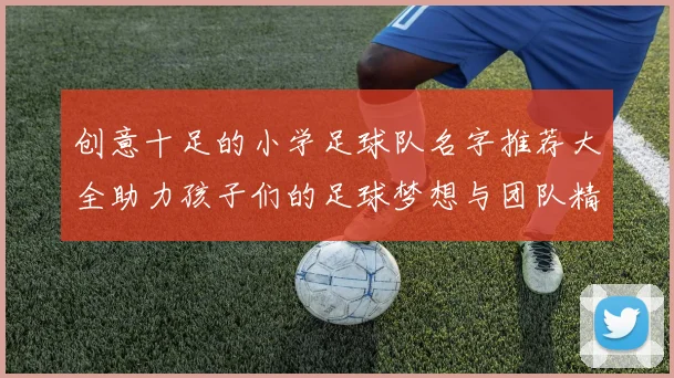 创意十足的小学足球队名字推荐大全助力孩子们的足球梦想与团队精神